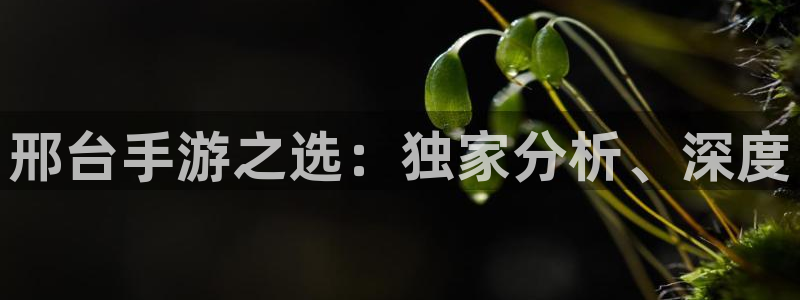 火狐电竞开奖官网查询：邢台手游之选：独家分析、深度